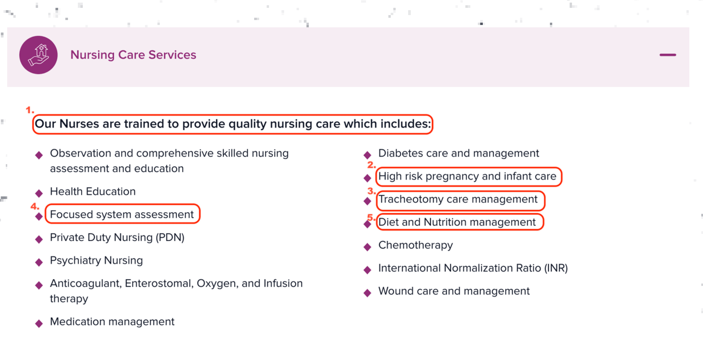A “Nursing Care Services” web panel with red circles around five list items whose capitalization differs from the rest of the list.